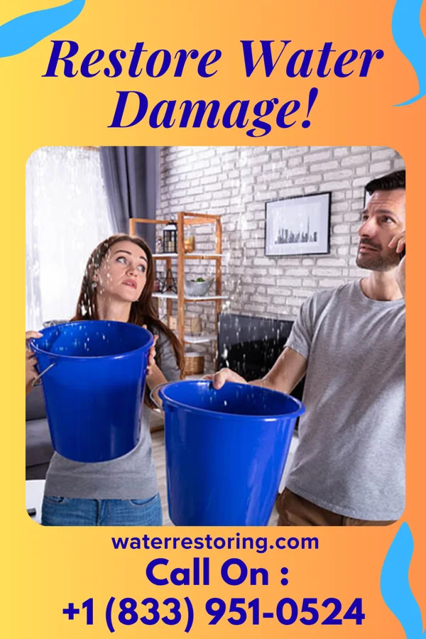 water restoration Best Flood Mitigation Force Staples