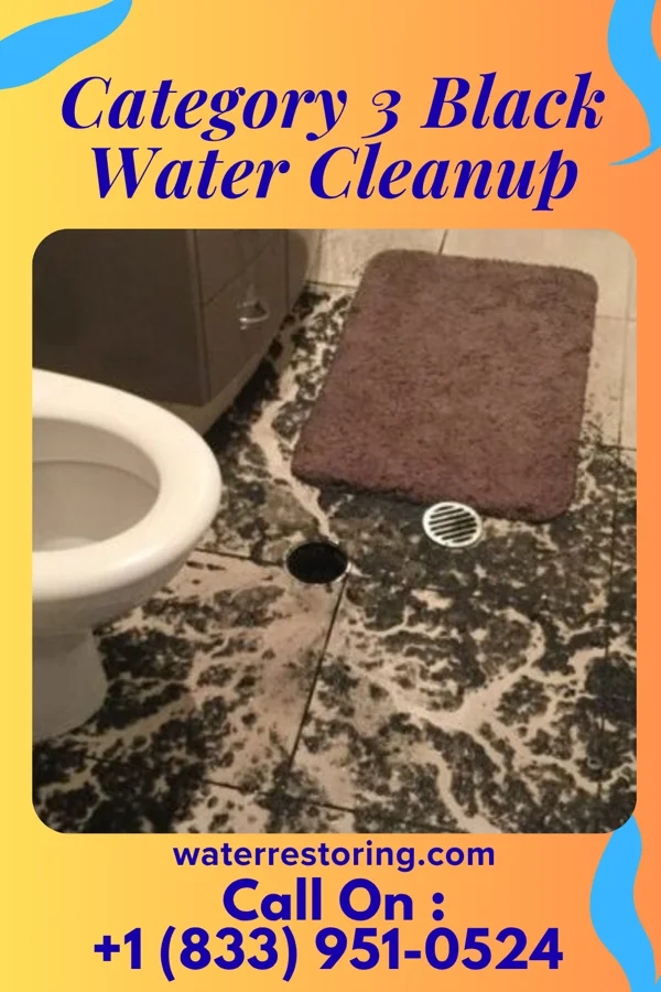 Category 3 Black Water Cleanup in Staples, TX