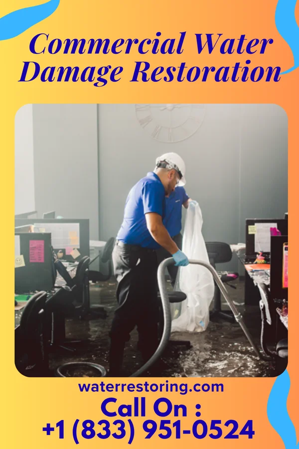 Commercial Water Damage Restoration in Staples, TX