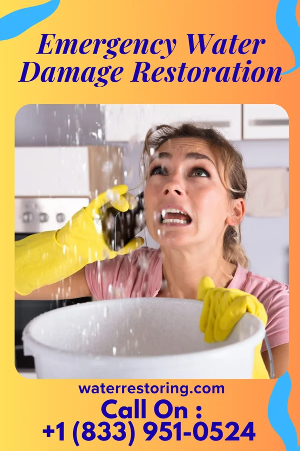 Emergency Water Damage Restoration in Staples, TX